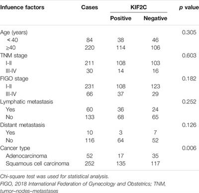 Characterization of Kinesin Family Member 2C as a Proto-Oncogene in Cervical Cancer